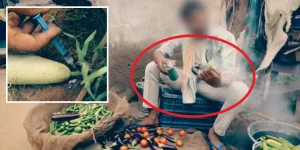 Vegetable Scam